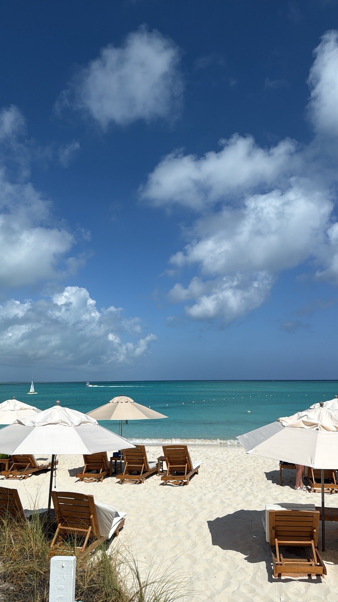 Alexandra Resort - All Inclusive-官方