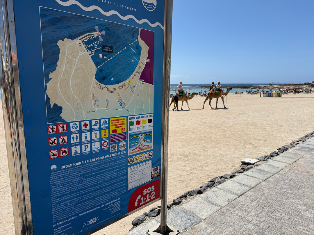Caletta De Fuste Beach-Caleta de Fuste必去景点
