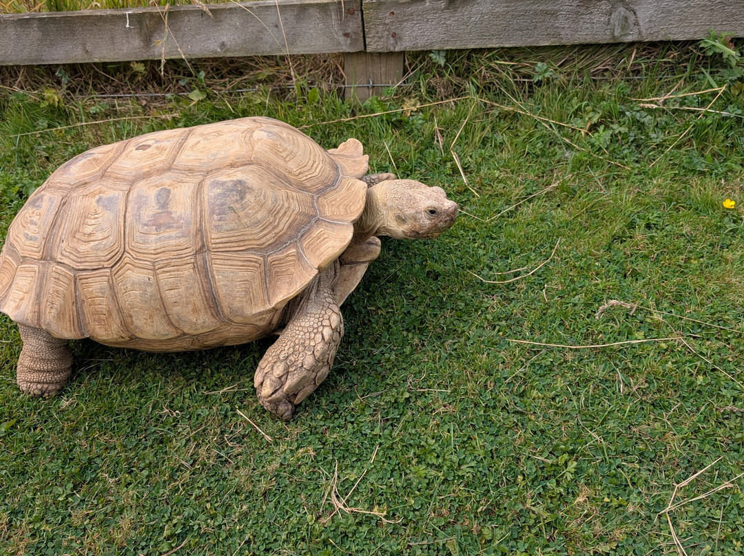 Hesketh Farm Park-斯基普顿必去景点