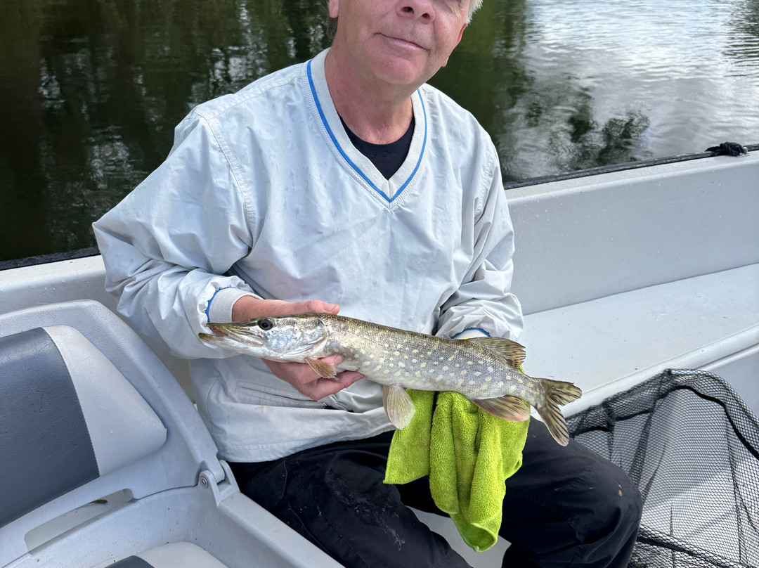 Severn Expeditions Day Boat Hire-Upton upon Severn必去景点