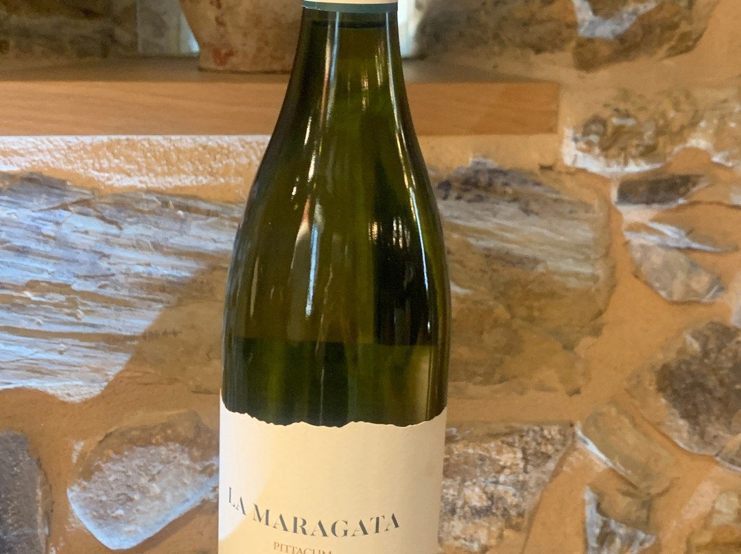 Bodegas Pittacum-Arganza必去景点