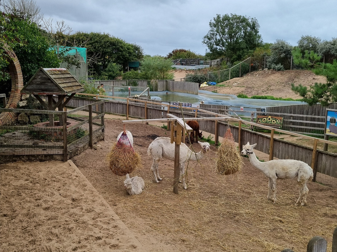 Mablethorpe Seal Sanctuary and Wildlife Centre-Mablethorpe必去景点