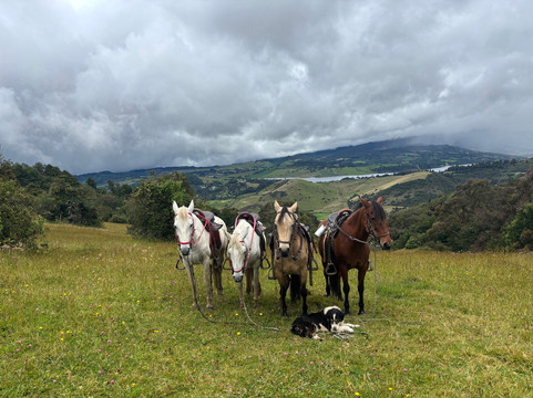 Finca El Imperio-波哥大必去景点