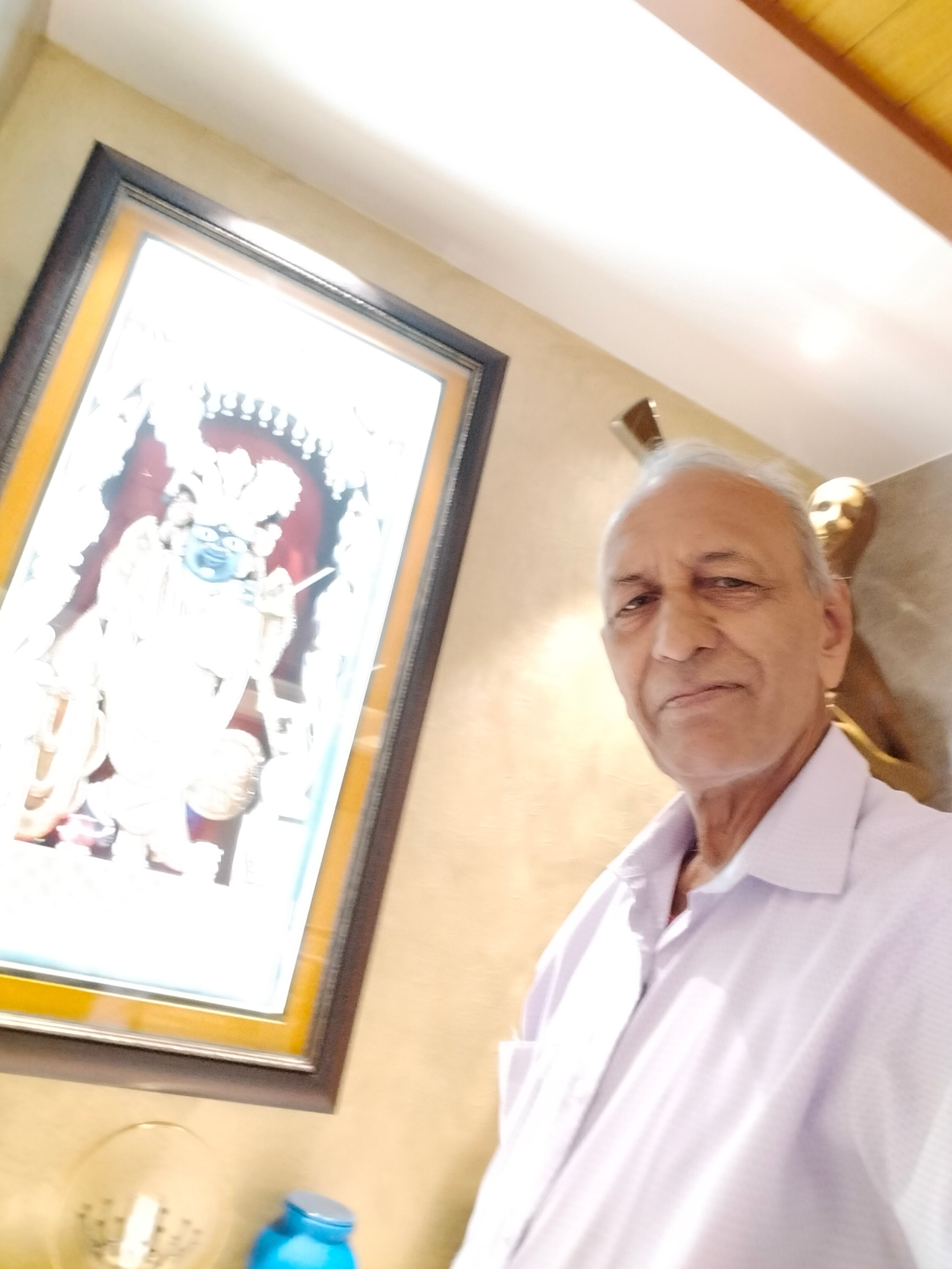 Best Western Vrindavan-官方