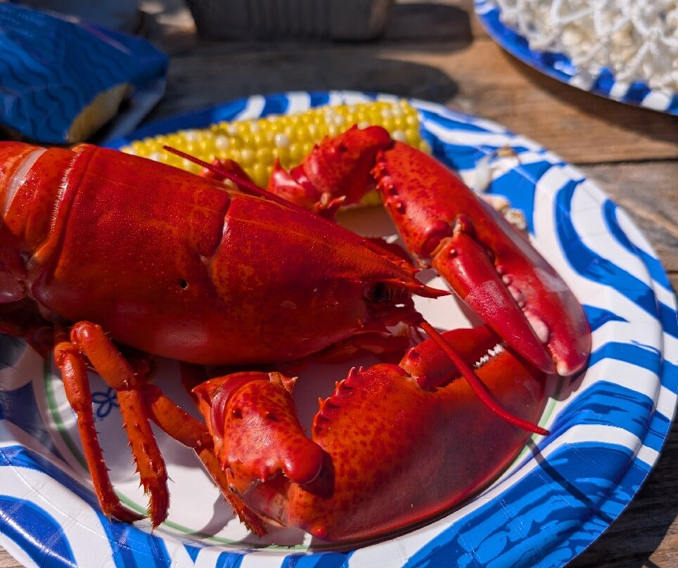 Acadia Lobster Cruise-Southwest Harbor必去景点