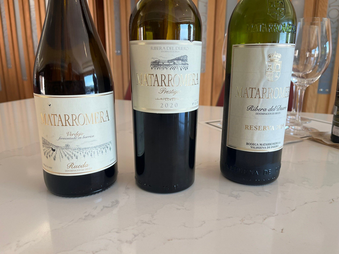 Bodega Matarromera-Valbuena de Duero必去景点