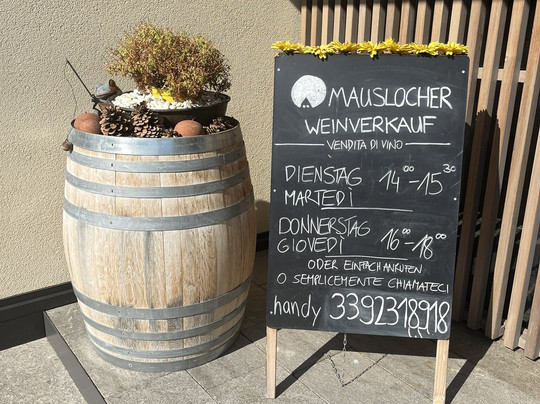 Weingut Mauslocher-Cermes必去景点