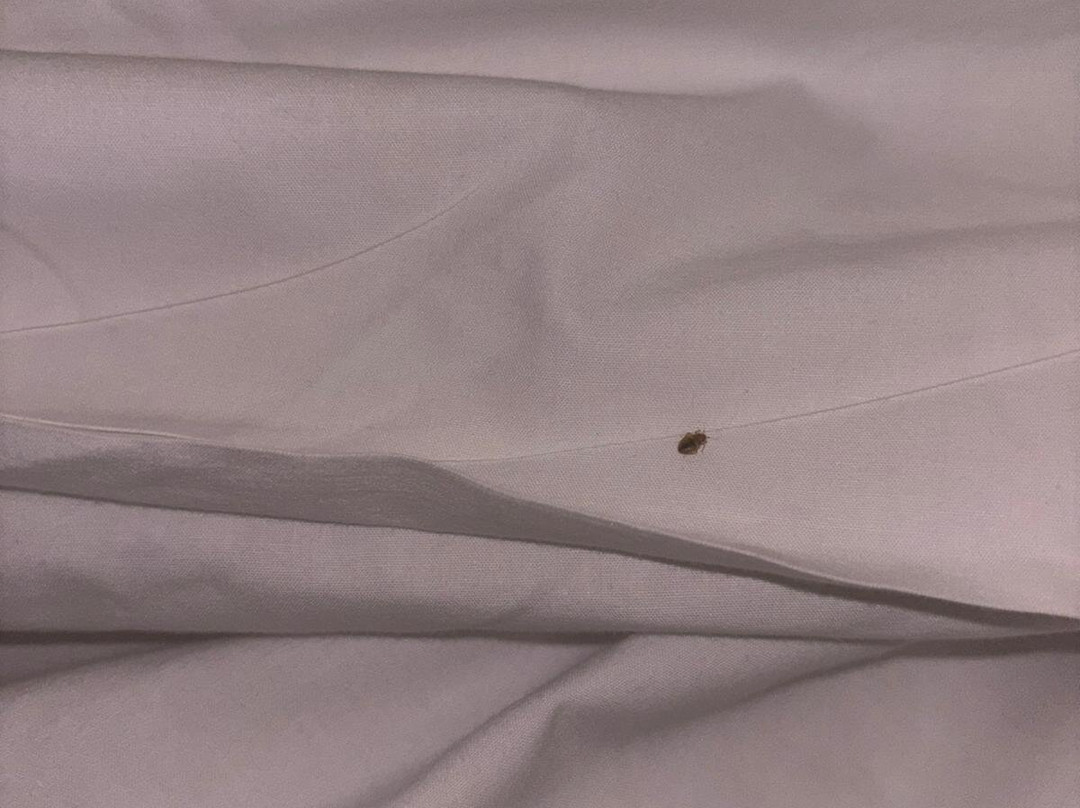 Travelodge London Stratford主图