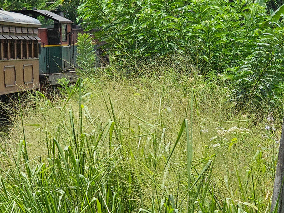 Ceylon Ayli-Pannipitiya必去景点