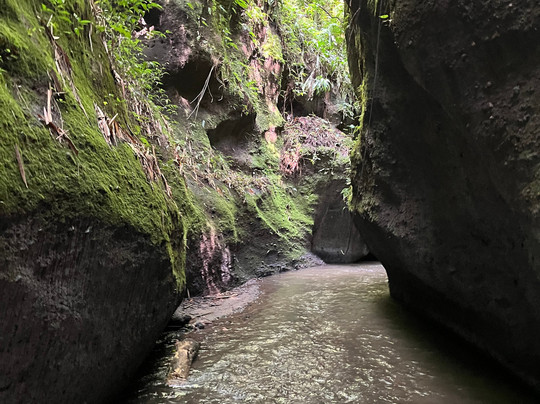 Sepeda Bali Adventure Cycling and Tours-乌布必去景点