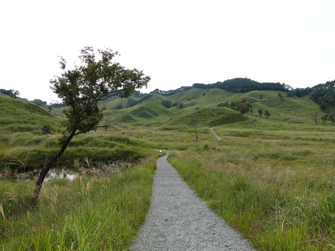 Toniomine Plateau-神河町必去景点