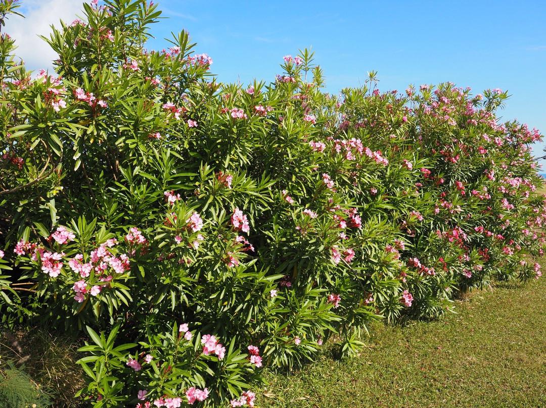 National Museum of Bermuda-Sandys Parish必去景点