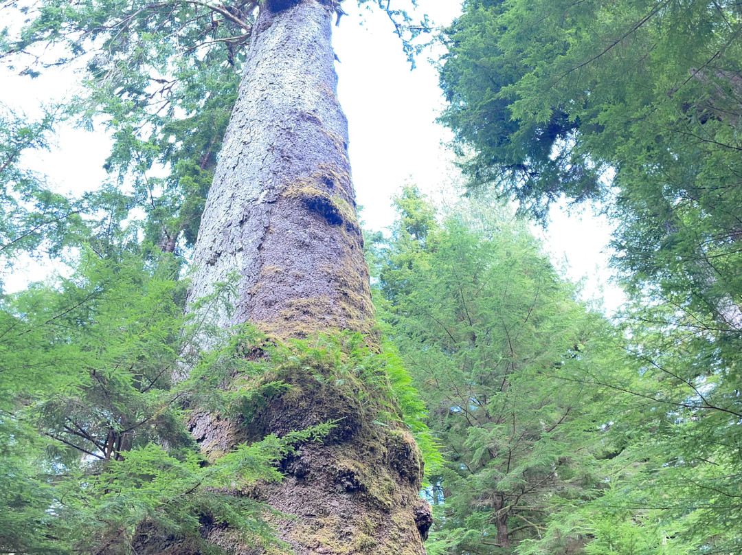 Moresby Explorers-Sandspit必去景点