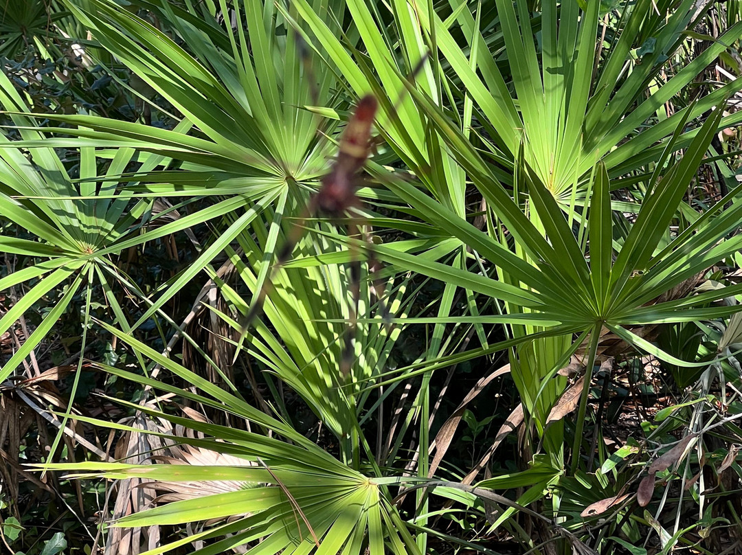 Crooked River State Park-St. Marys必去景点