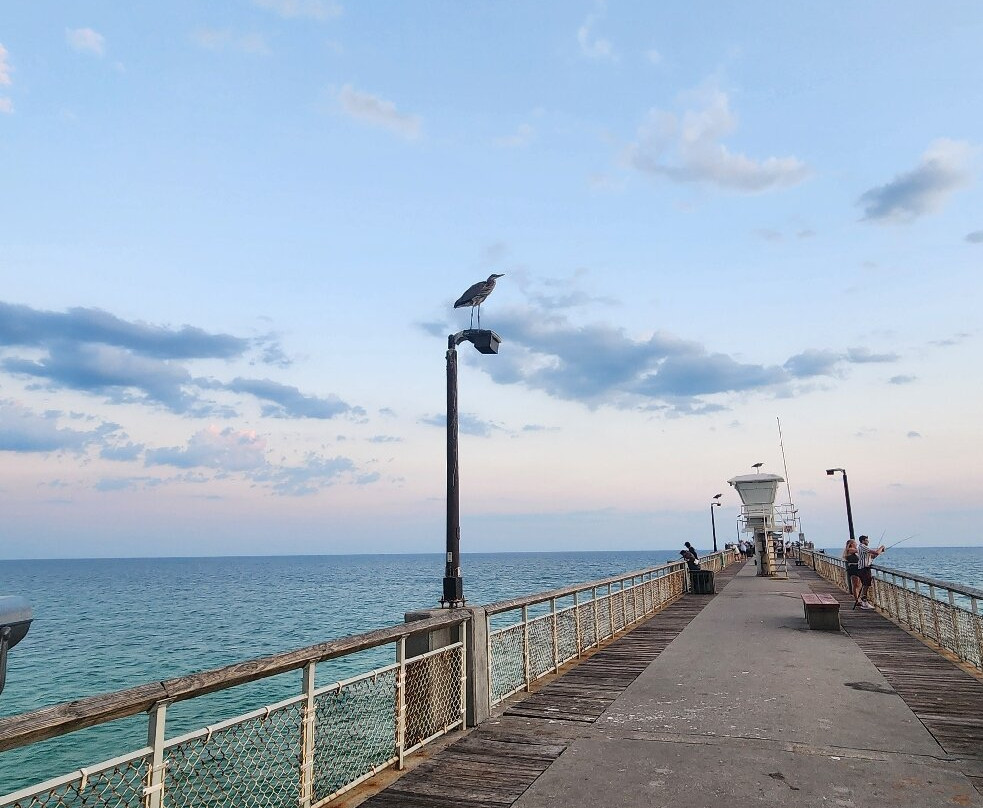 The Island Pier-华尔顿堡滩必去景点