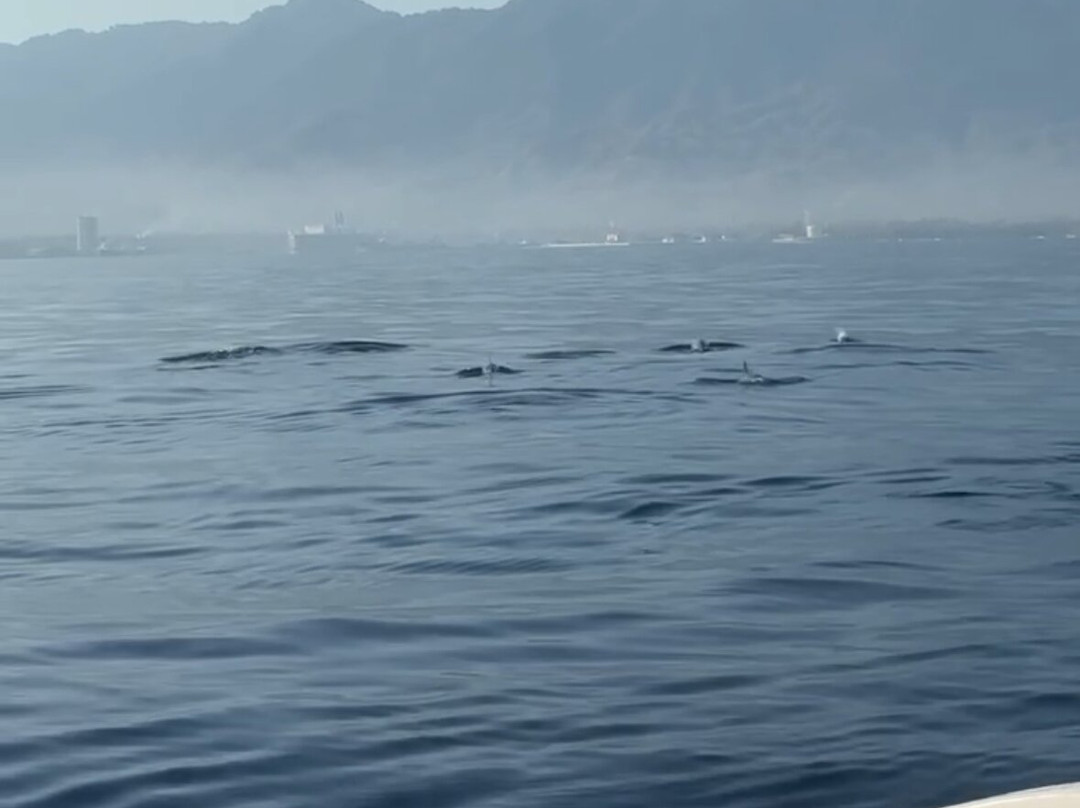 Lovina Dolphin Holiday-Tukadmungga必去景点