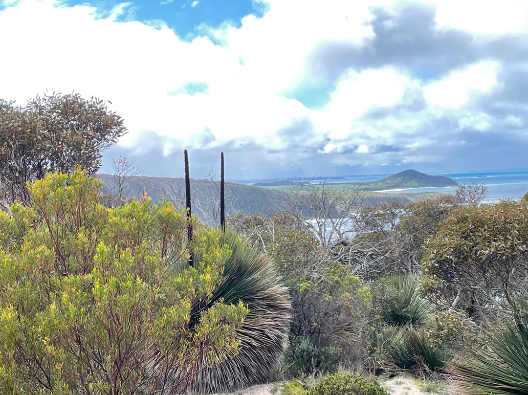 GirlsTrek-布里斯班必去景点