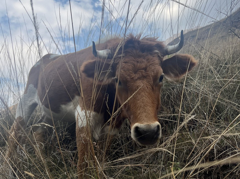 Best Andes Travel-库斯科必去景点