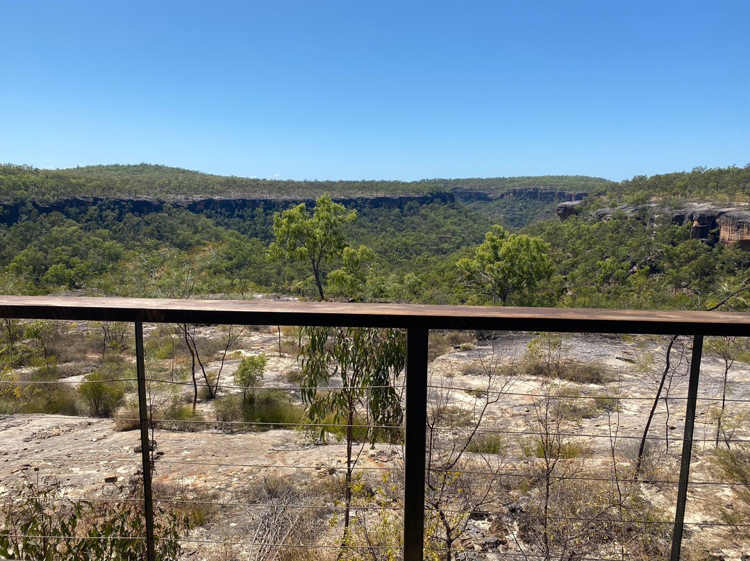 Jarramali Rock Art Tours-凯恩斯必去景点