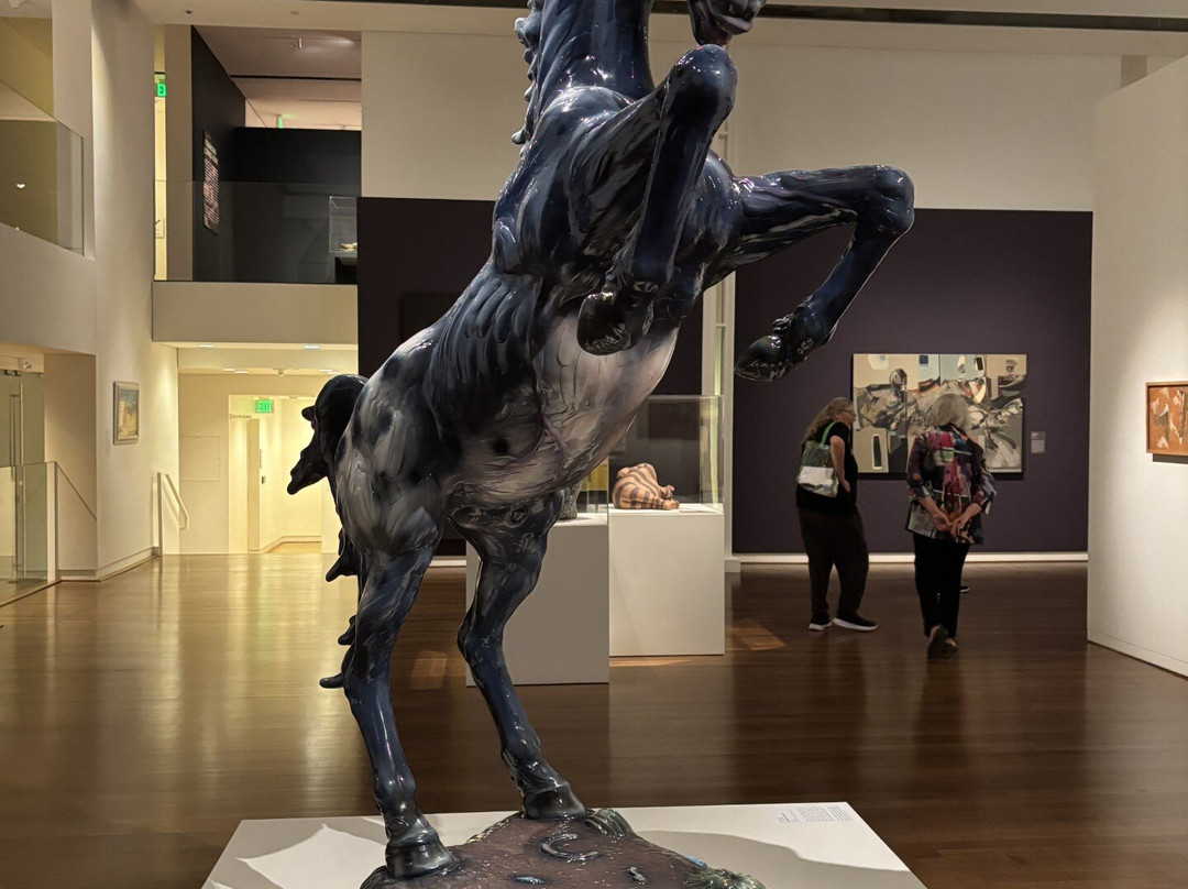 Fred Jones Jr. Museum of Art-诺曼必去景点