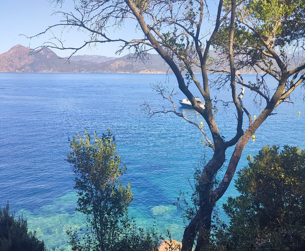 Plage de Ficajola-Piana必去景点