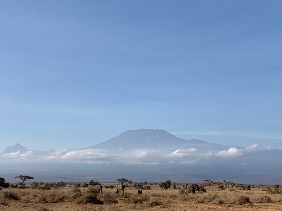 Gametrackers-Rongai必去景点