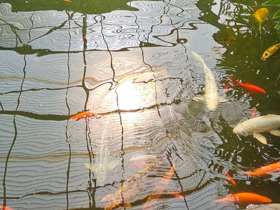 Le Tropique du Papillon-Elne必去景点