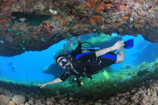 Águas Claras-费尔南多-迪诺罗尼亚群岛必去景点