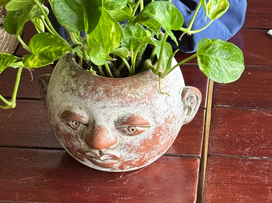 Xinalani 度假村主图