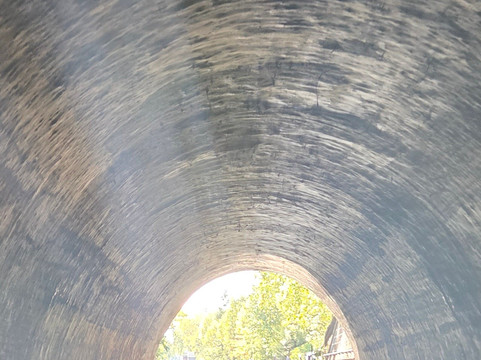 Walker's Quay Canal Cruises-伦敦必去景点