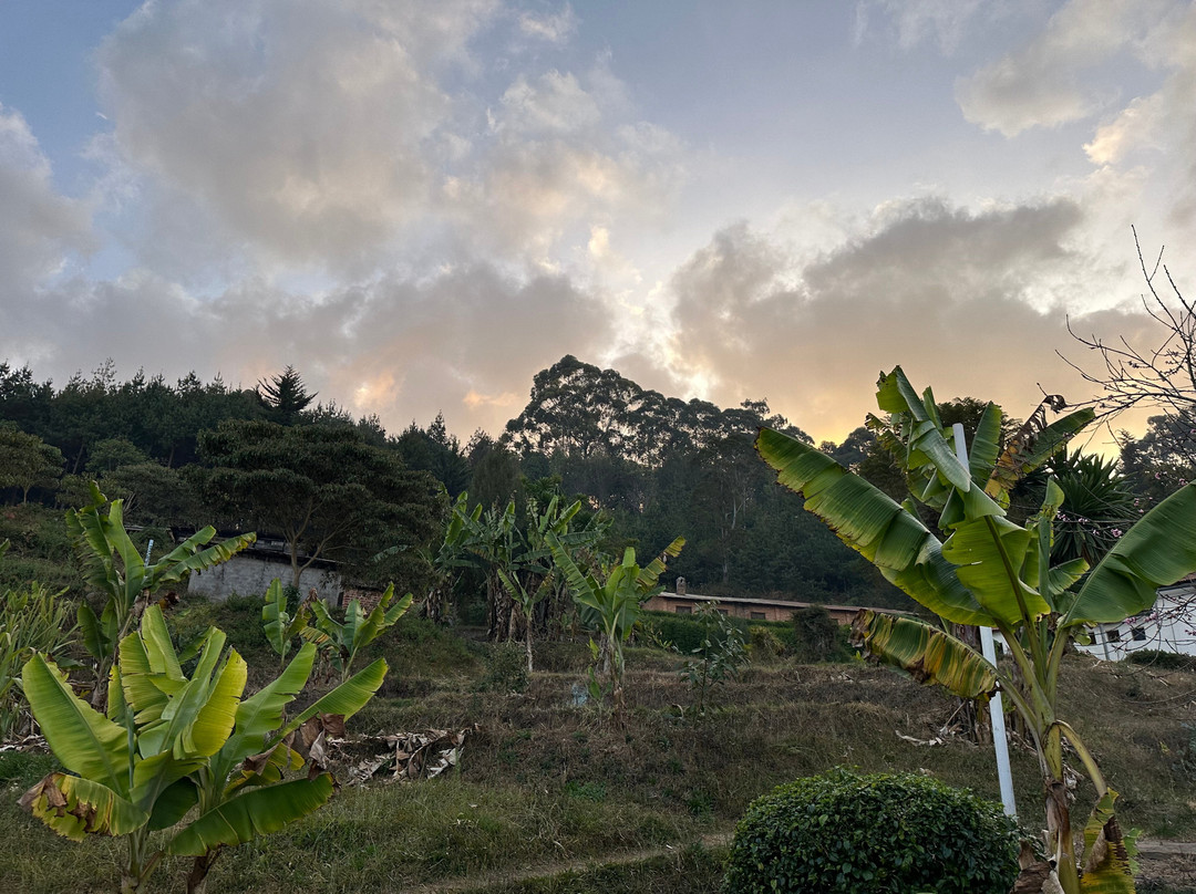 Tanzania Secret Within-坦噶必去景点