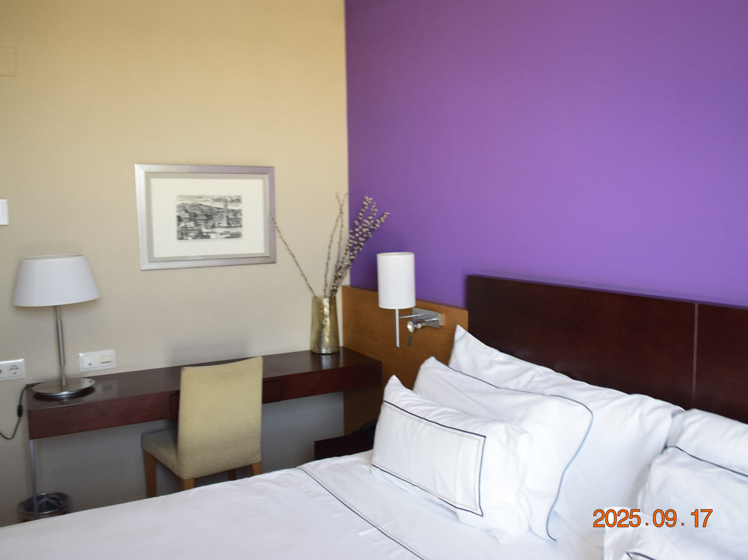 Hotel Salamanca Montalvo主图