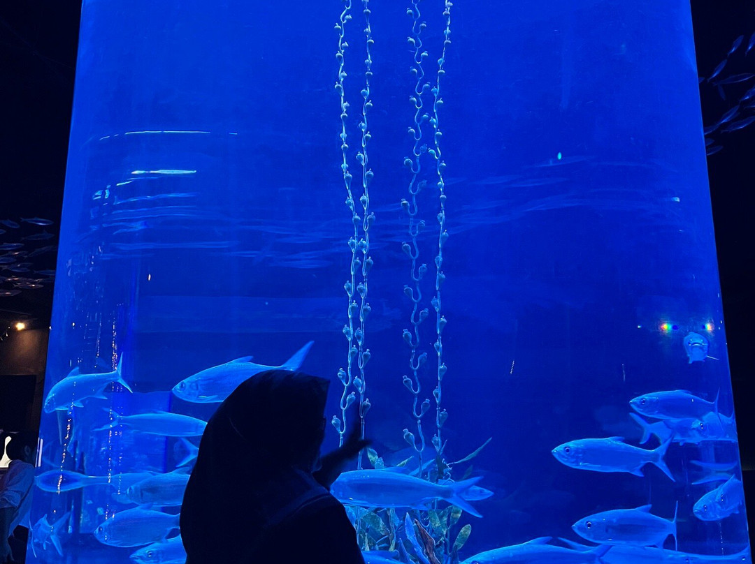 Jakarta Aquarium & Safari-雅加达必去景点