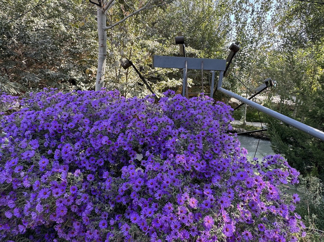 ASTOUR travel company-塔什干必去景点