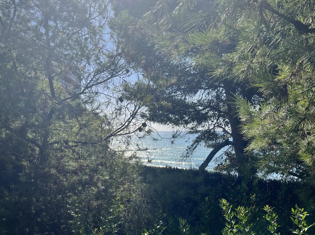 The Via Verde Green Route-贝尼卡西姆必去景点