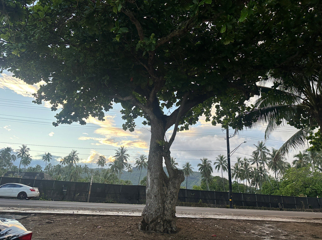 Wailua Beach-Wailua必去景点