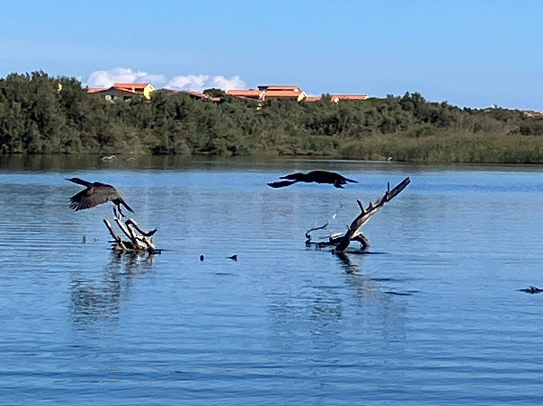 New Kayak Sardinia-Valledoria必去景点