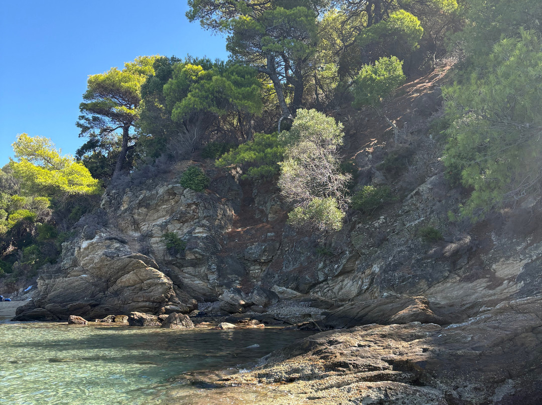 Tsougrias Beach-Tsougrias Island必去景点