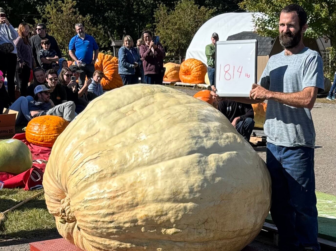 Residence Inn Burlington Colchester主图