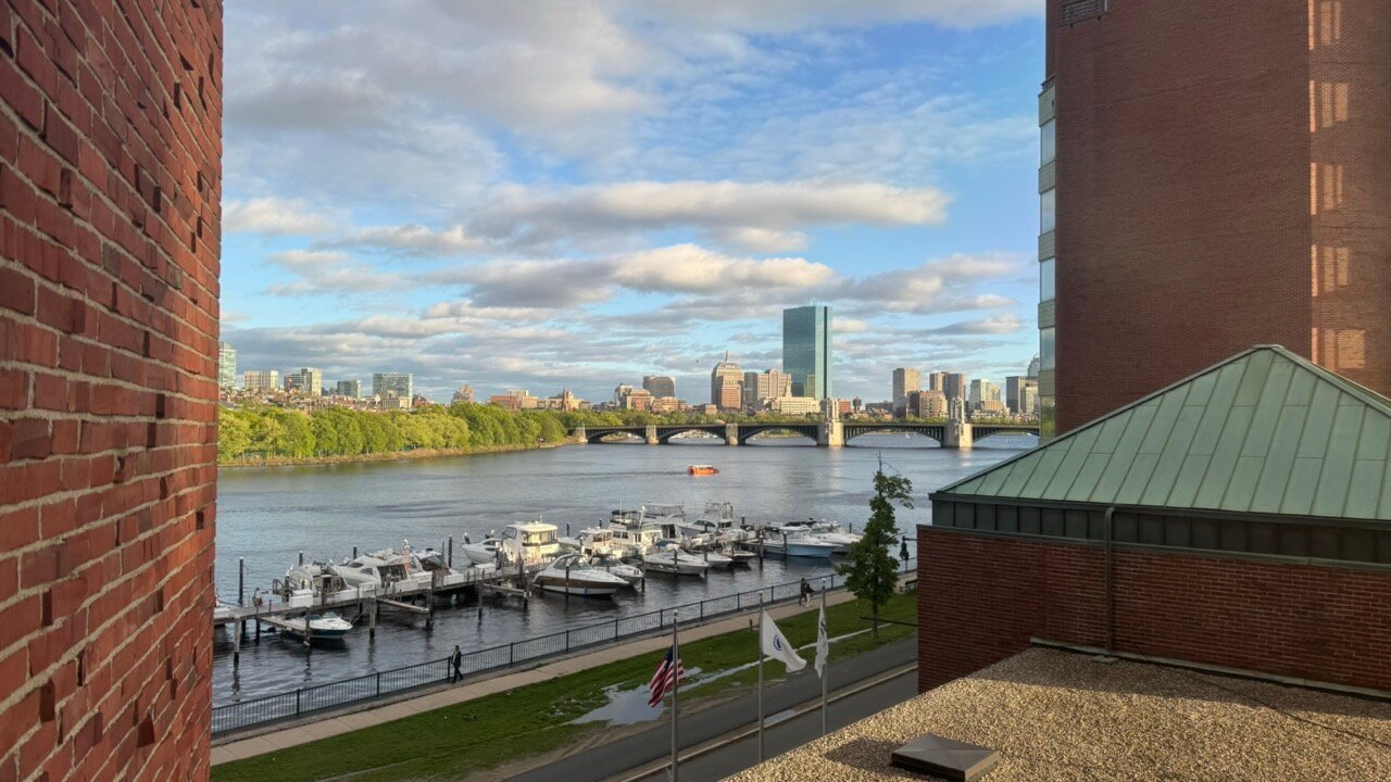 波士顿皇家索尼斯塔酒店-酒店景观