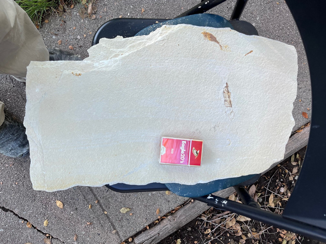 American Fossil-Kemmerer必去景点