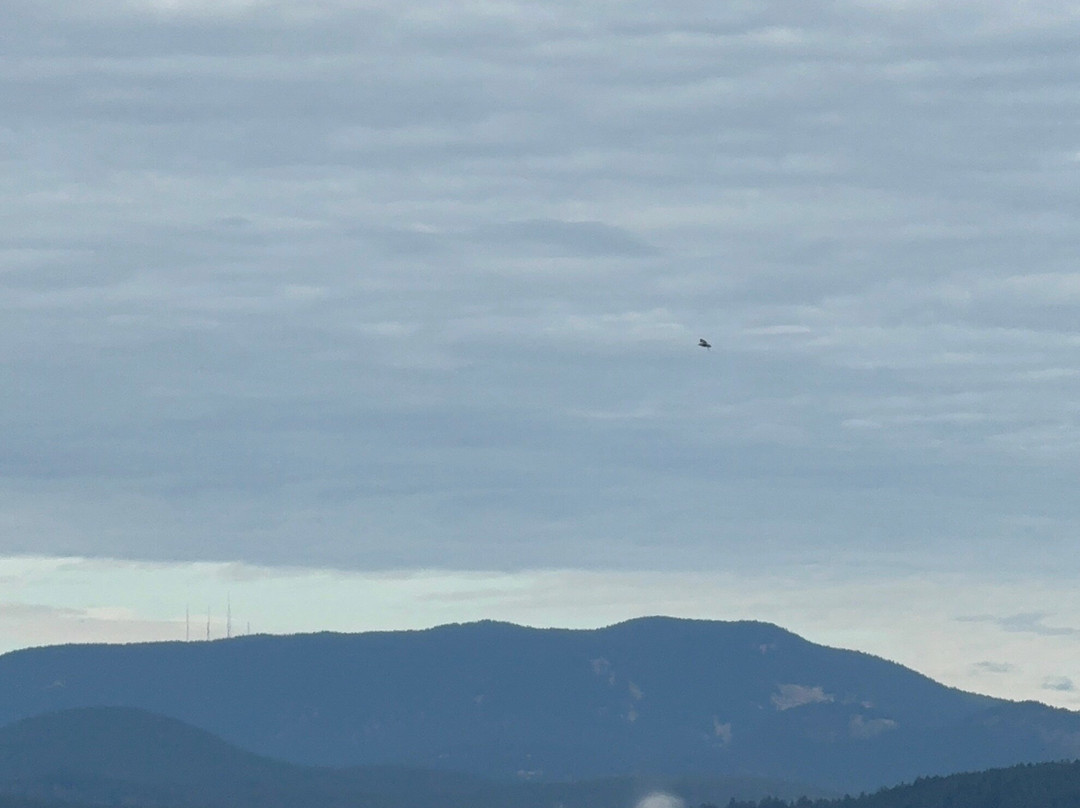 Outer Island Excursions-Anacortes必去景点