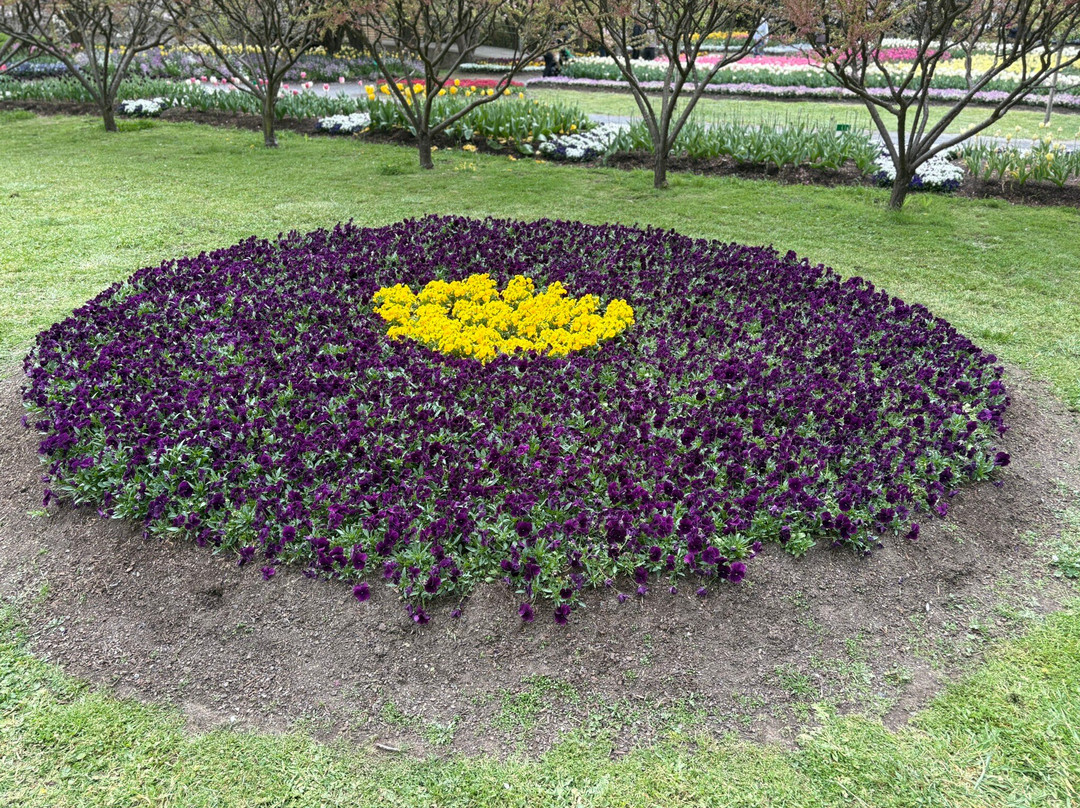 Tulip Top Gardens-Sutton必去景点