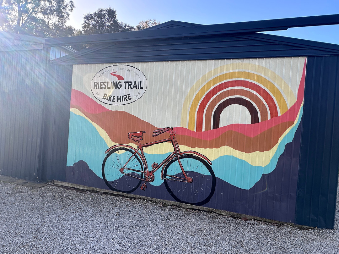 Riesling Trail Bike Hire-克莱尔必去景点