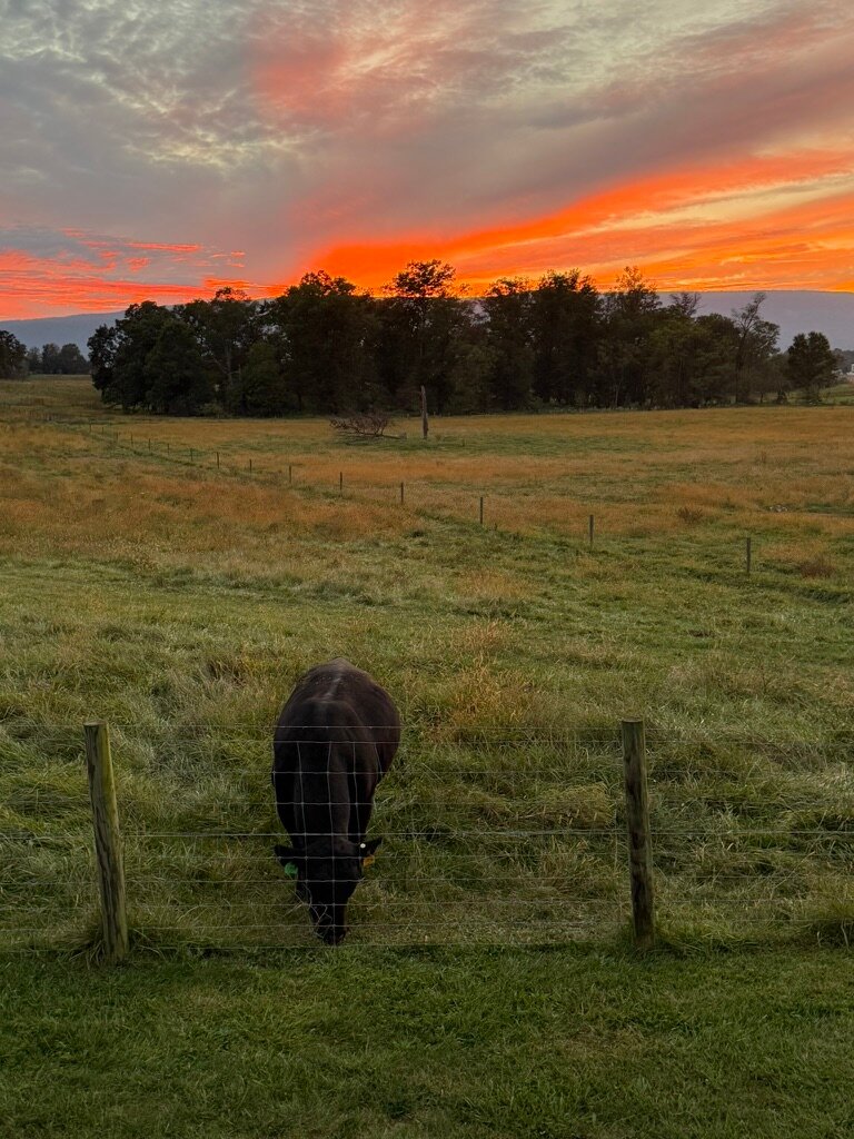 Piney Hill Bed & Breakfast-酒店景观