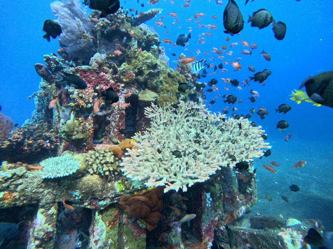 Amed Dive Explorer-艾湄湾必去景点