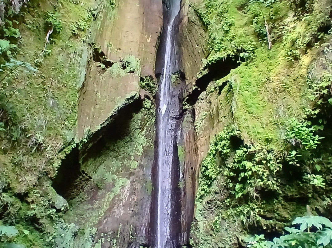 Jose do Canto Forest Garden-富尔纳斯必去景点