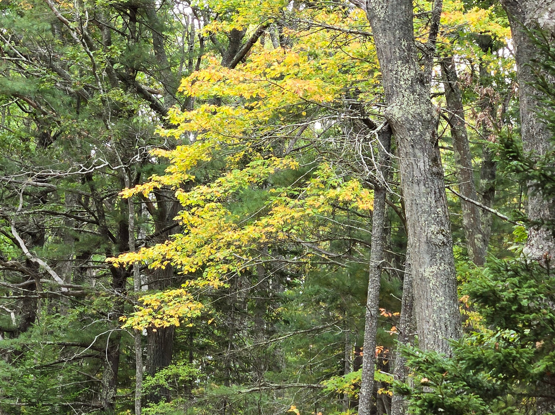 Boothbay Railway Village-Boothbay必去景点
