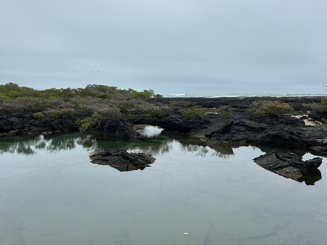 Isabela Island-伊莎贝拉岛必去景点
