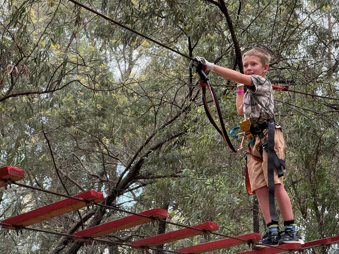 Acrobranch Garsfontein-Tierpoort必去景点